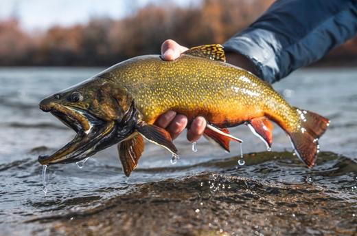 Patagonia River Guides Trevelin