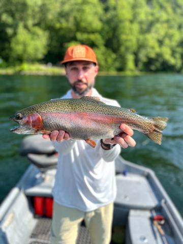Rainbow Trout, White River Trout Club