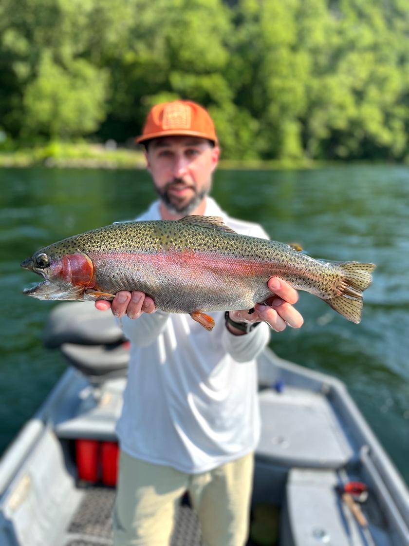 Rainbow Trout caught at White River Trout Club