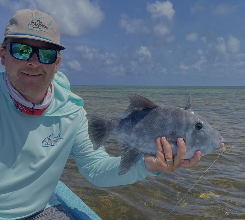 Titan Triggerfish caught at Palometa Club