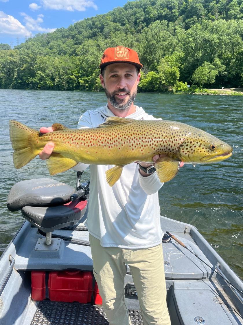 Brown Trout caught at White River Trout Club