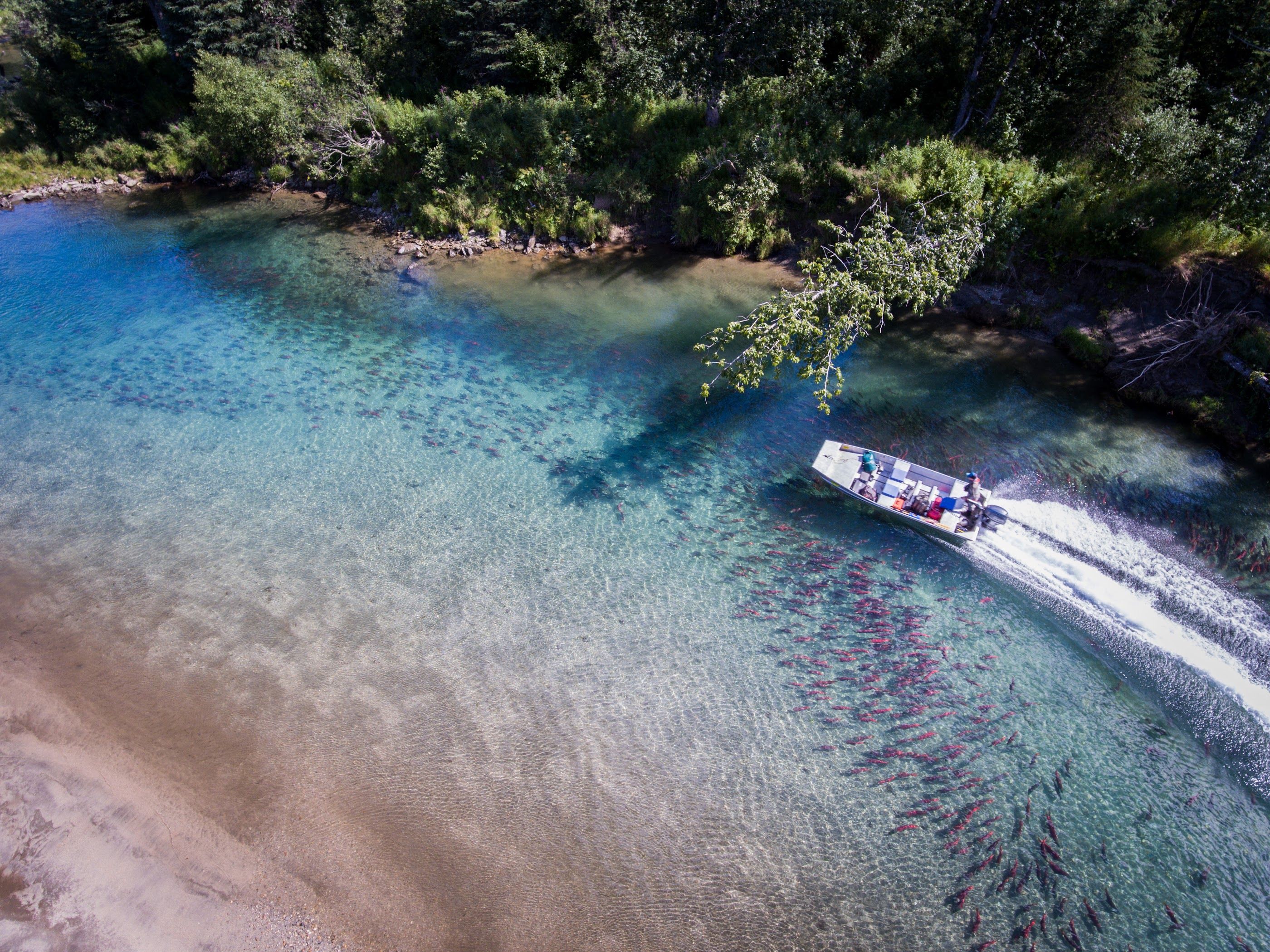 Iliamna River Lodge