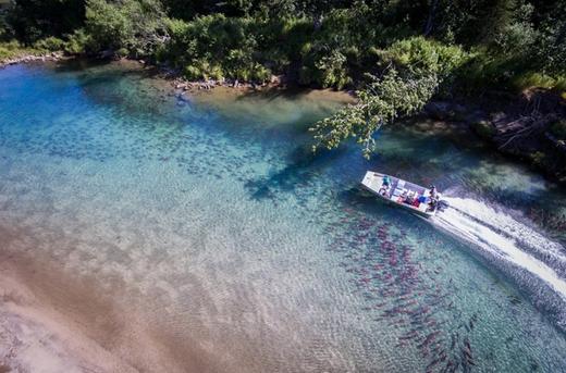 Iliamna River Lodge