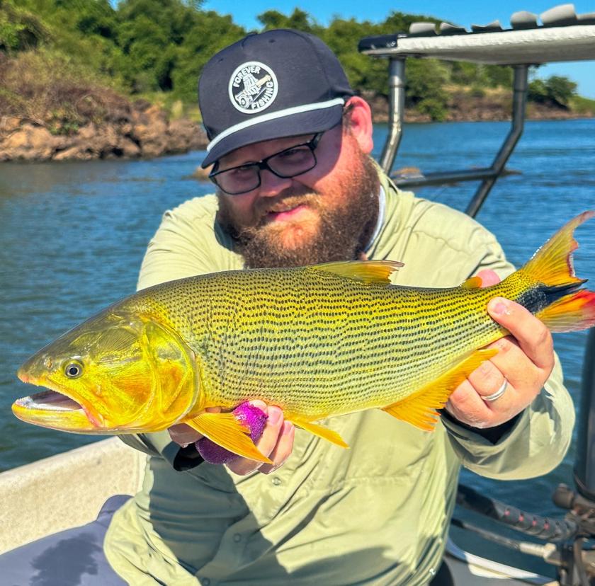 Golden Dorado caught near Argentina