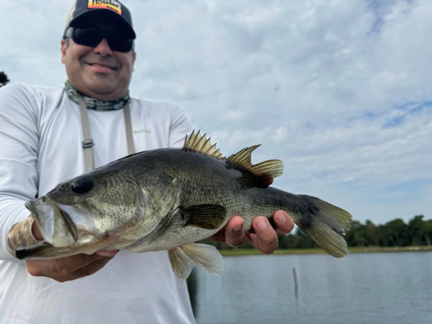 Largemouth Bass caught near Dallas, Texas