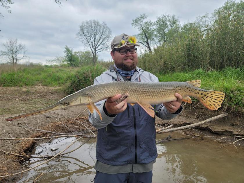Longnose Gar caught near Oklahoma