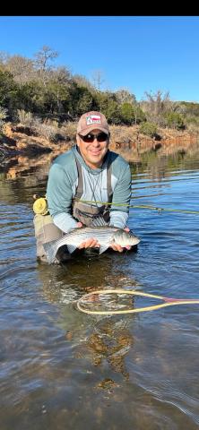 Striped Bass, Mineral Wells, Texas