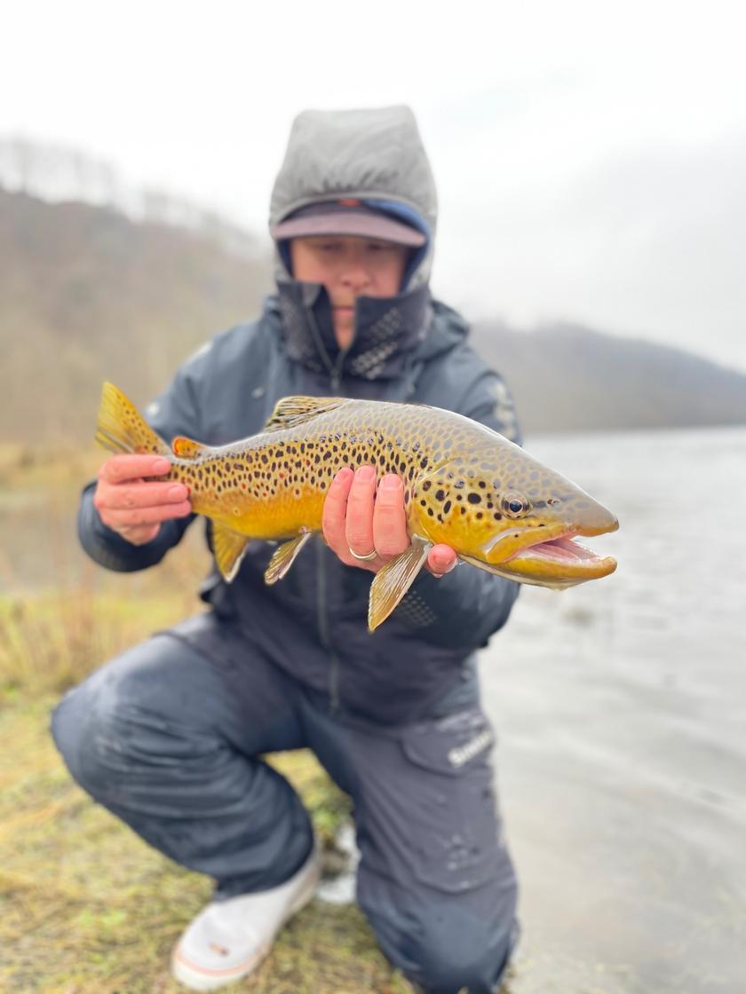 Brown Trout caught near Arkansas