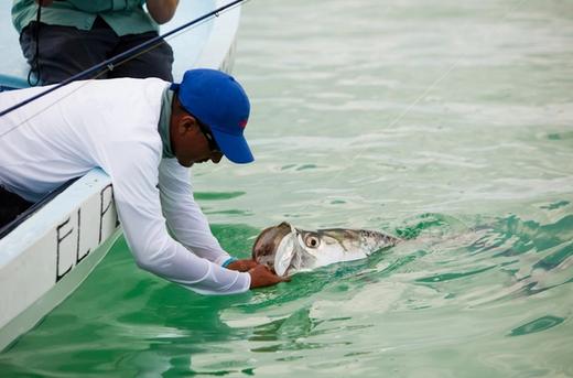 El Pescador Lodge