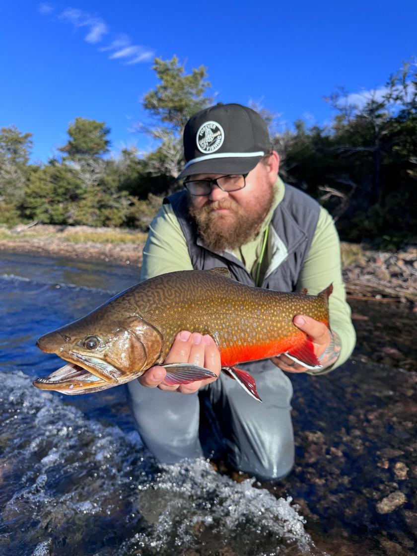 Brook Trout caught near Patagonia