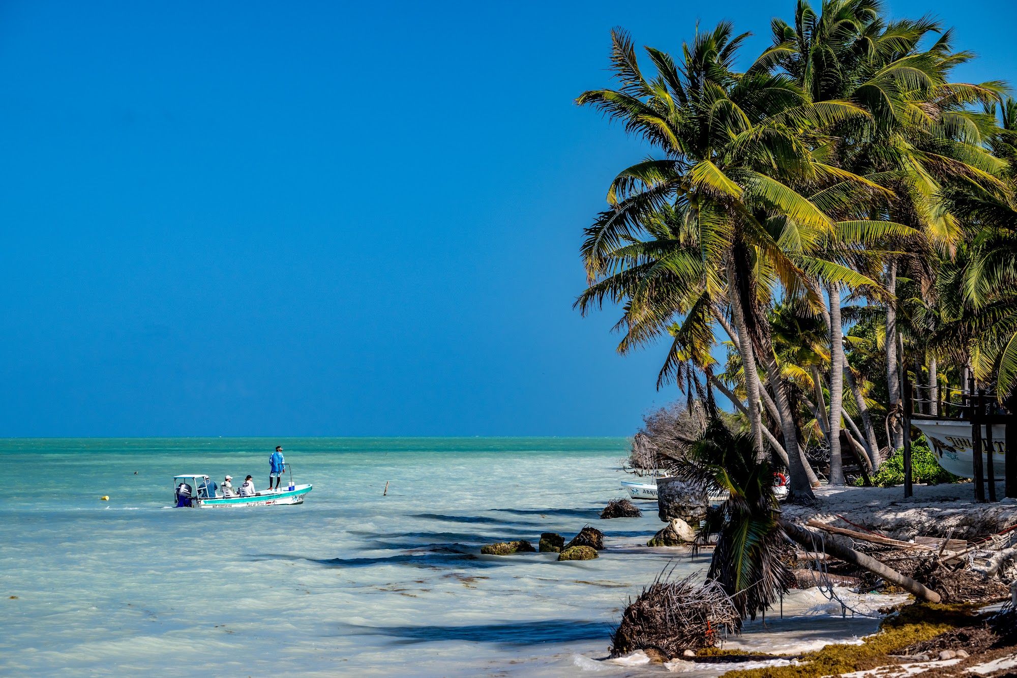 Palometa Club