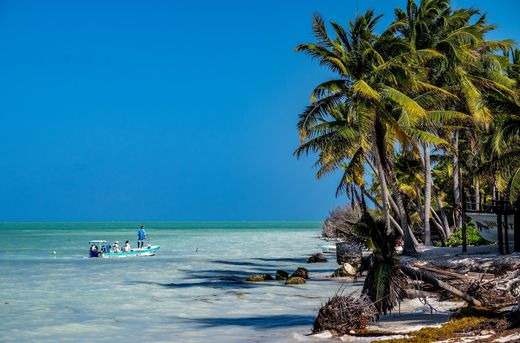 Palometa Club