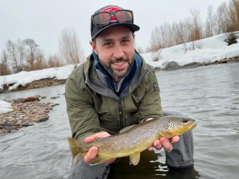 Brown Trout, Provo River, Park City, UT