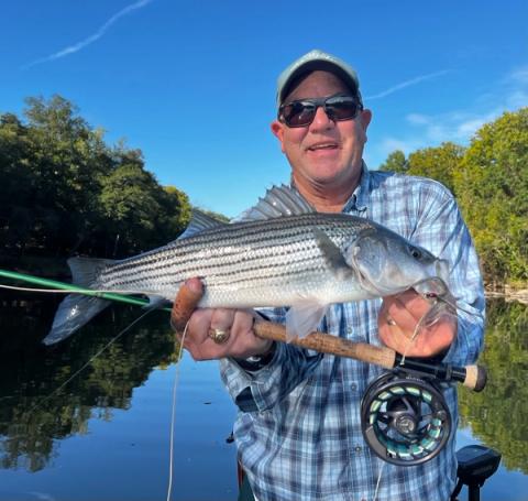 Striped Bass, Columbia SC