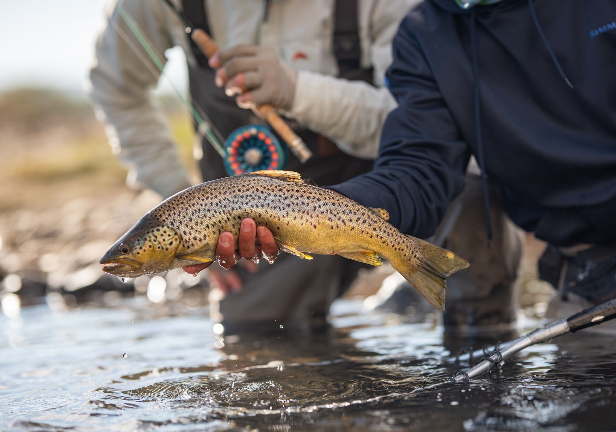 Patagonia River Guides North