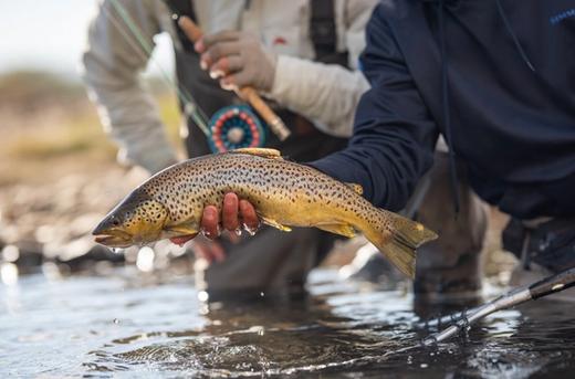 Patagonia River Guides North