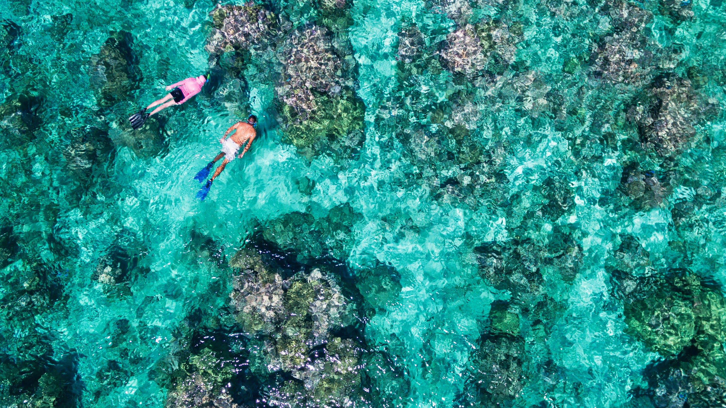 Alphonse Island Resort