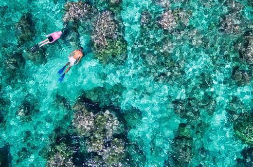 Alphonse Island Resort
