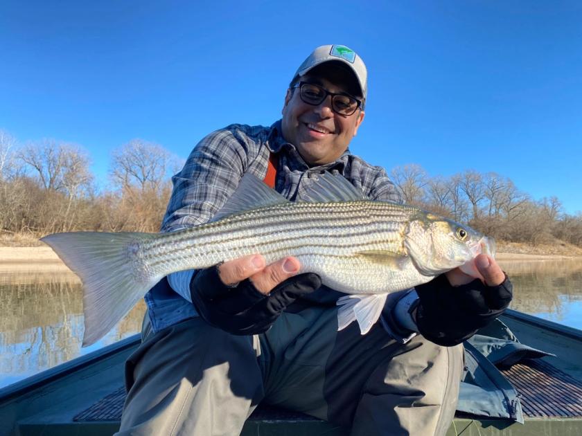 Striped Bass caught near Hillsboro, Texas