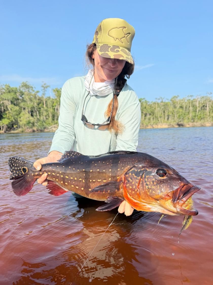 Peacock Bass caught at Rio Marie