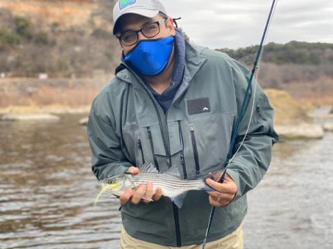 Hybrid Striper, Mineral Wells, Texas