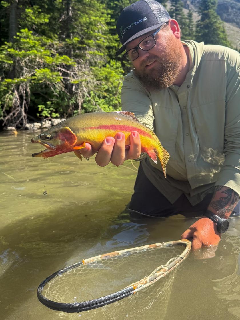 Golden Trout caught near Canada