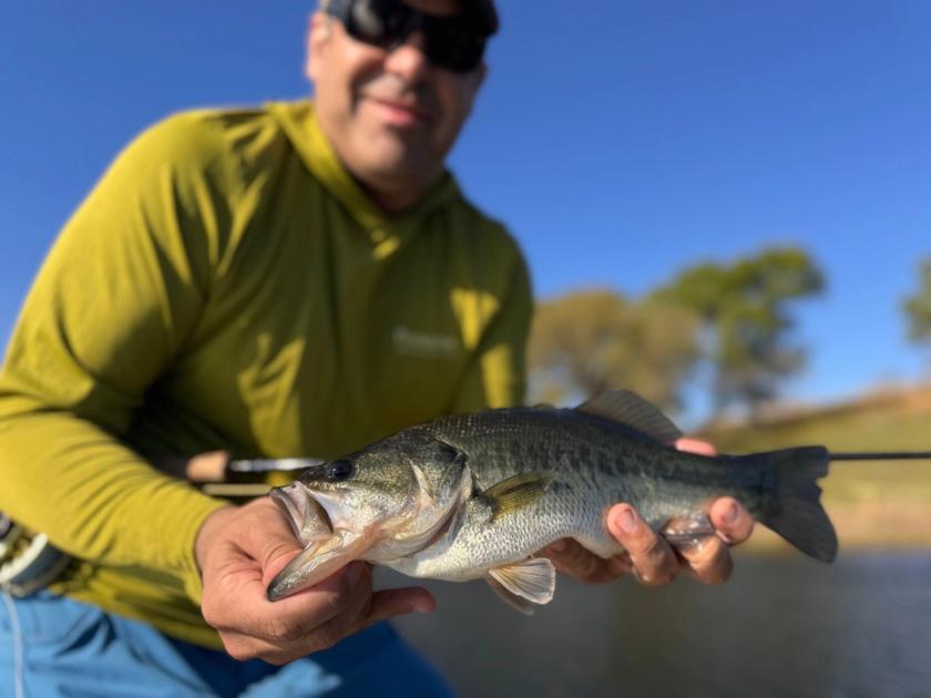 Largemouth Bass caught near Willis Point, Texas