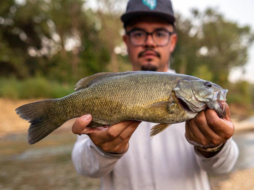 Smallmouth Bass caught near Oklahoma