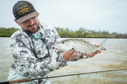 Bonefish, Cuba, JDR