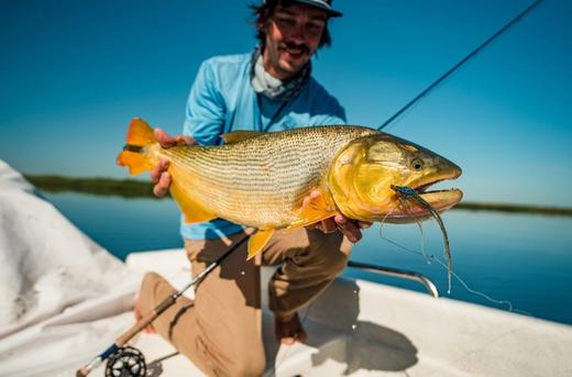 Golden Dorado River Cruiser