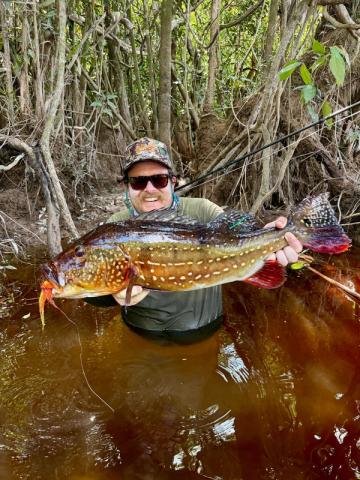 Peacock Bass, Rio Marie
