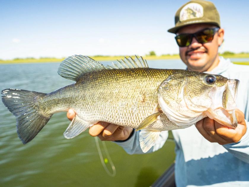 Largemouth Bass caught near Texas