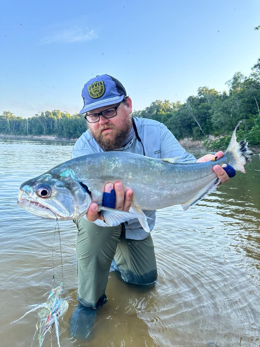 Payara caught near Colombia