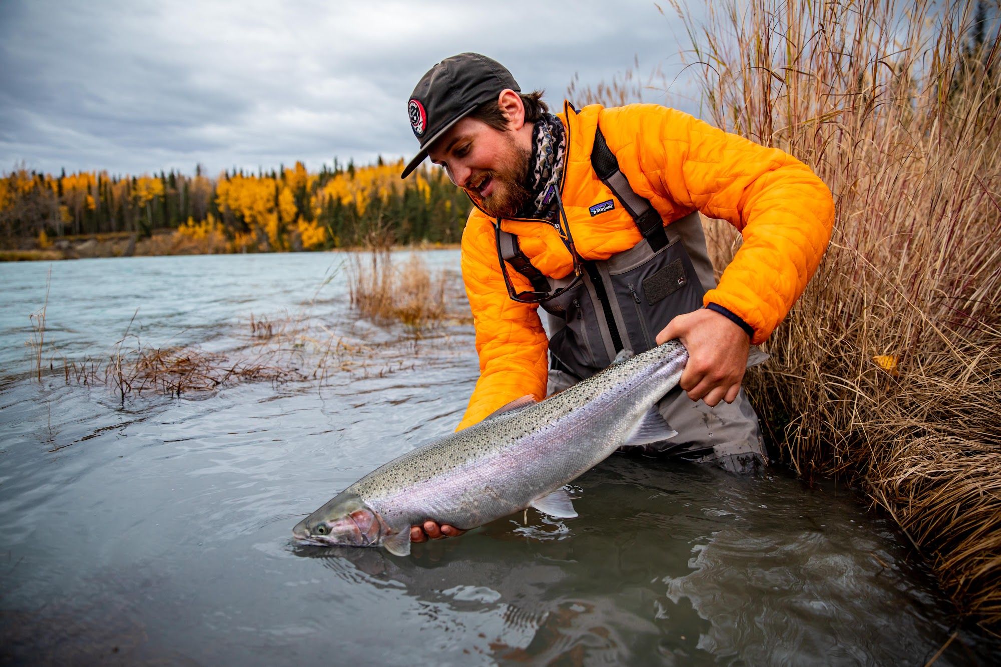 Alaska Steelhead Company