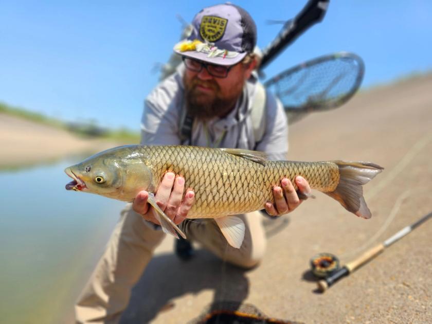 Grass Carp caught near Texas