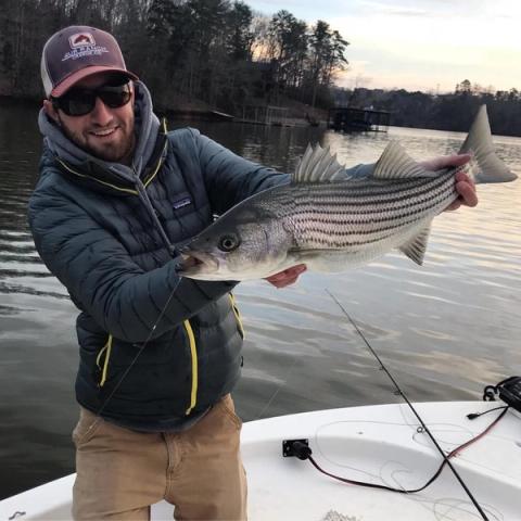 Striped Bass, Lake Lanier