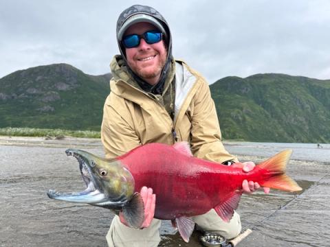 Sockeye Salmon, Tickchick Narrows
