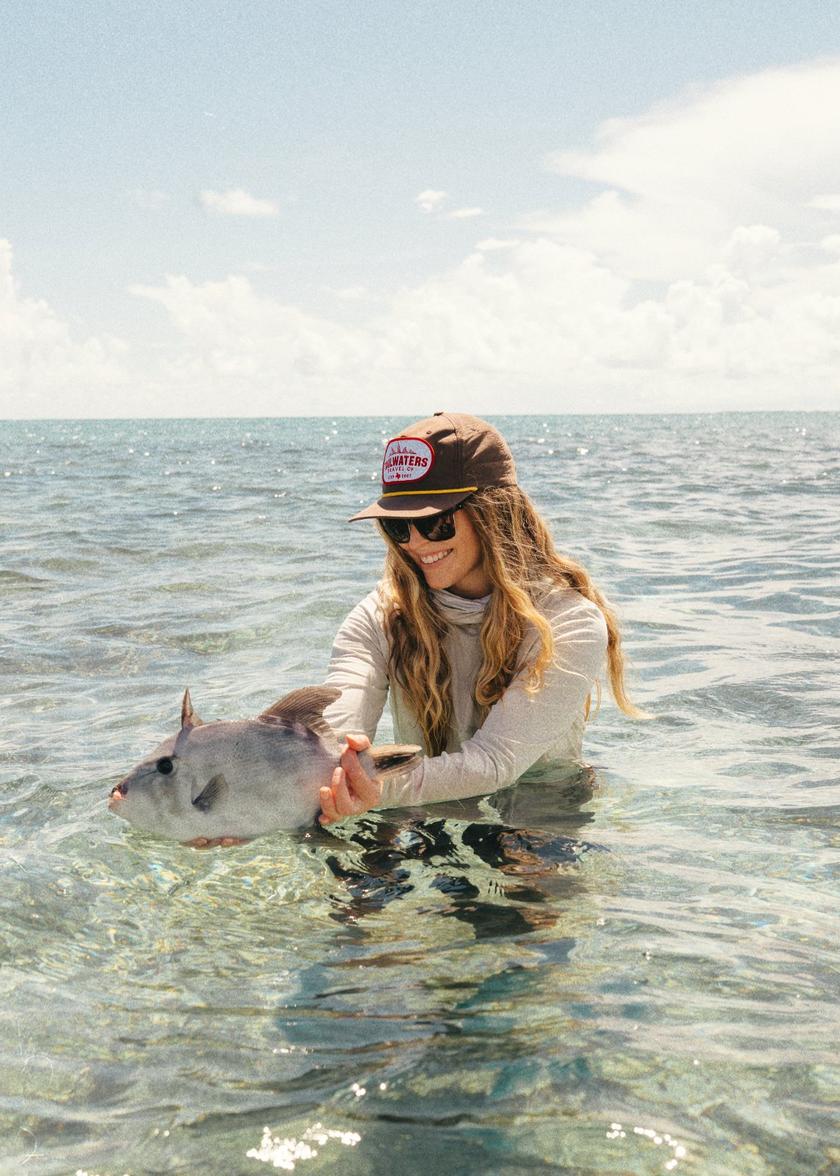 Atlantic Gray Triggerfish caught at Palometa Club