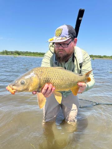 Common Carp, Texas