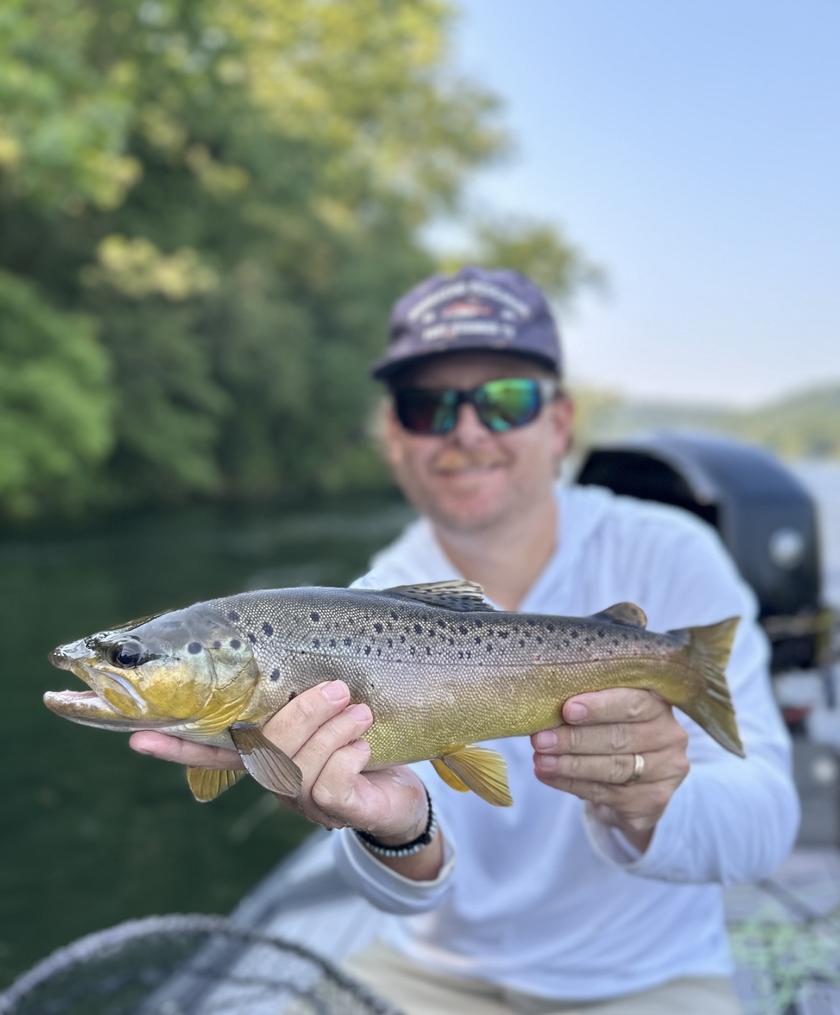Brown Trout caught at White River Trout Club