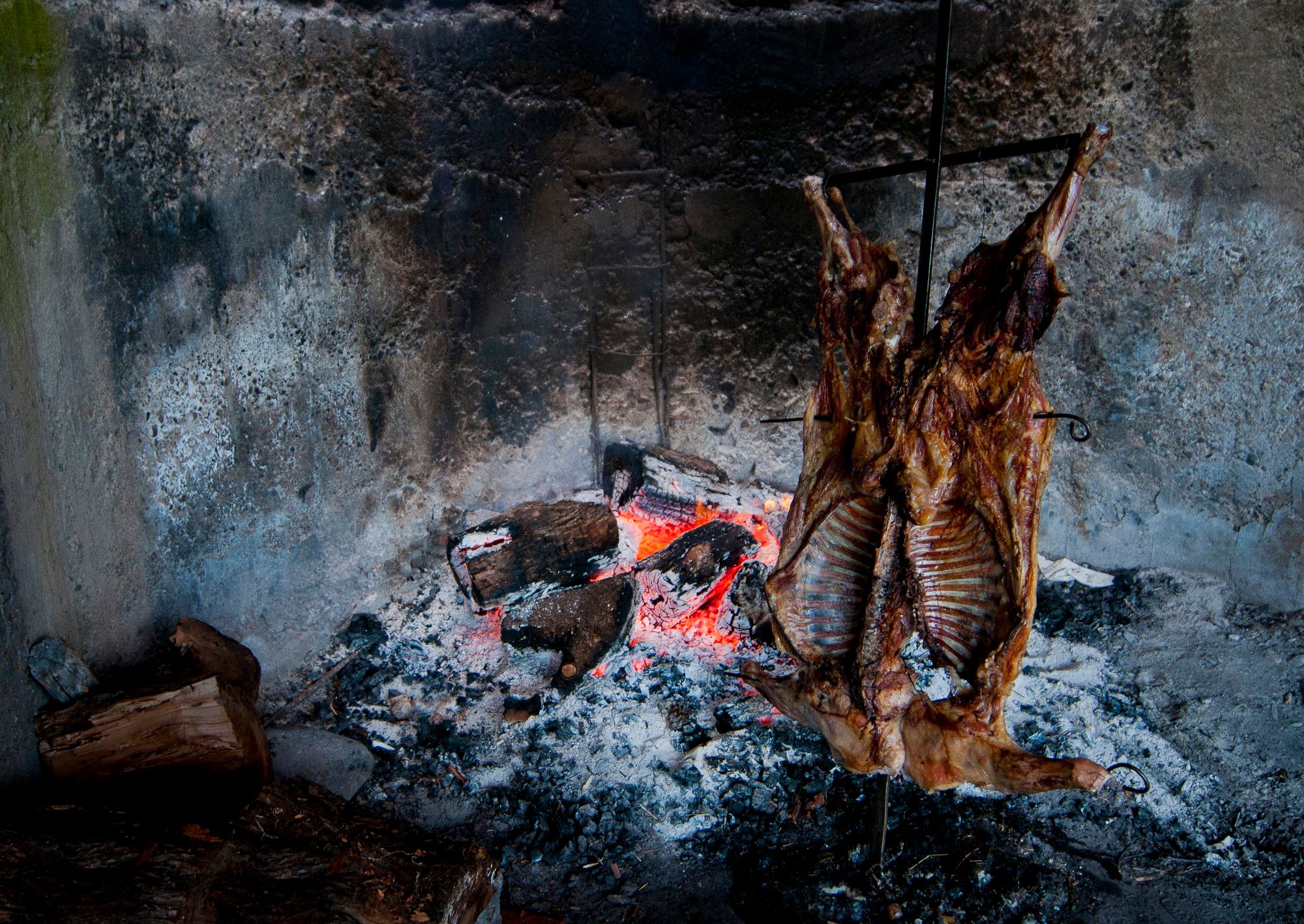 El Saltamontes