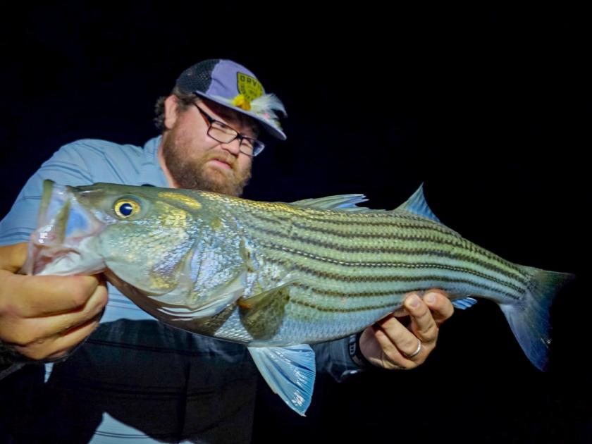 Striped Bass caught near Possum Kingdom, Tx