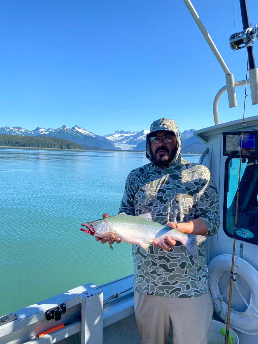 Pink Salmon caught near Juneau, Alaska