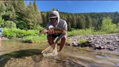 Westslope Cutthroat, Idaho
