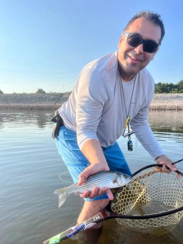 Striped Bass, Dennison, Texas
