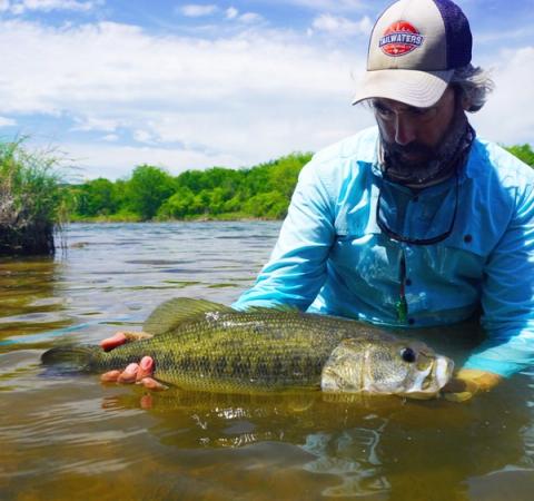 Largemouth Bass, Brazos River, TX
