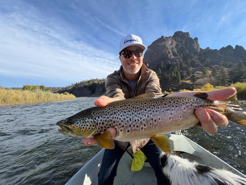Brown Trout caught near Missouri River, Montana