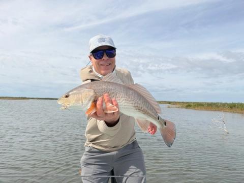 Redfish, Port O'Conner, TX