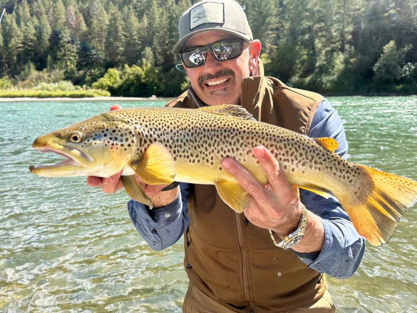 Brown Trout caught near SOUTH FORK OF SNAKE