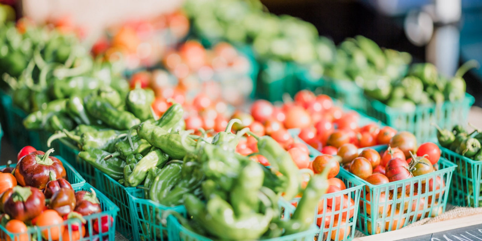 Getting The Right Nutritional Advice